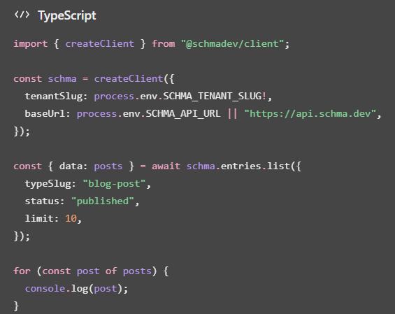 SCHMA Developer Workflow SDK and programmatic tooling