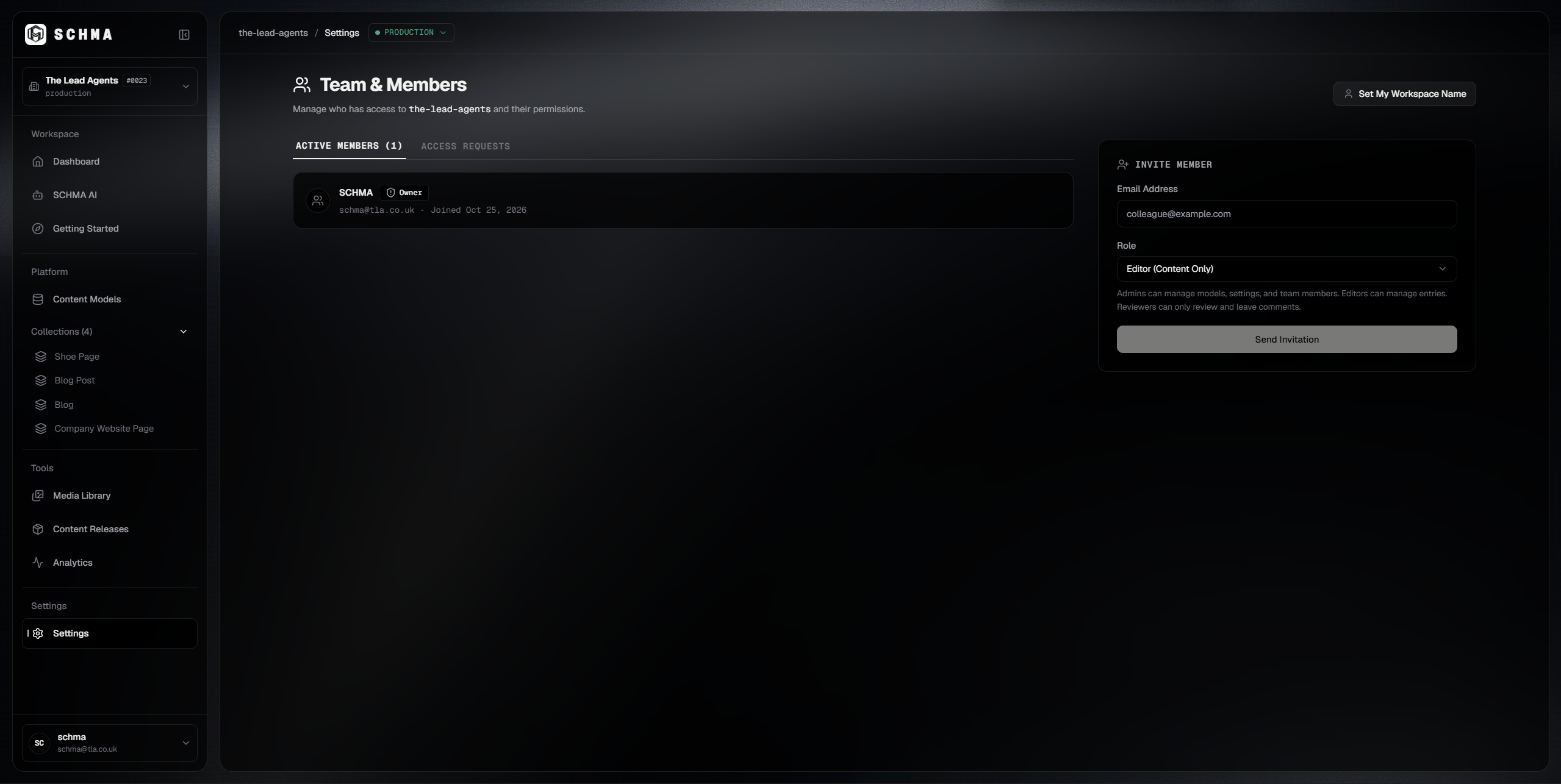 SCHMA Workspace Roles and membership management interface showing configured roles and assignments